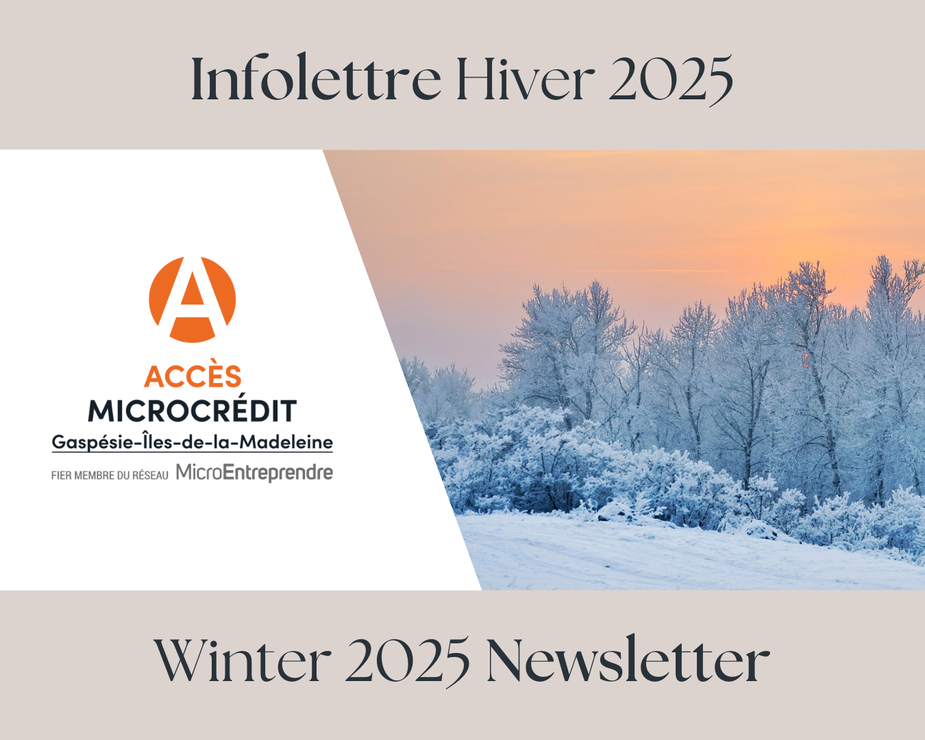 Infolettre hiver 2025 disponible